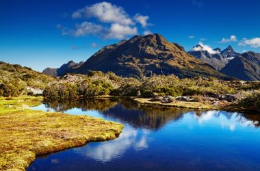 Moving to New Zealand – What You Need to Know