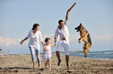 Moving Abroad With Your Pet