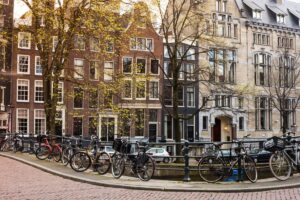 migrating your business to the Netherlands