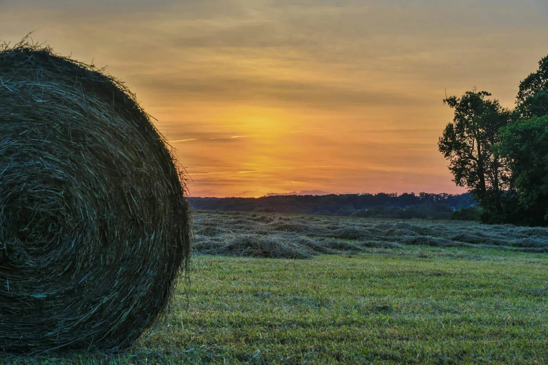 Maryland countryside