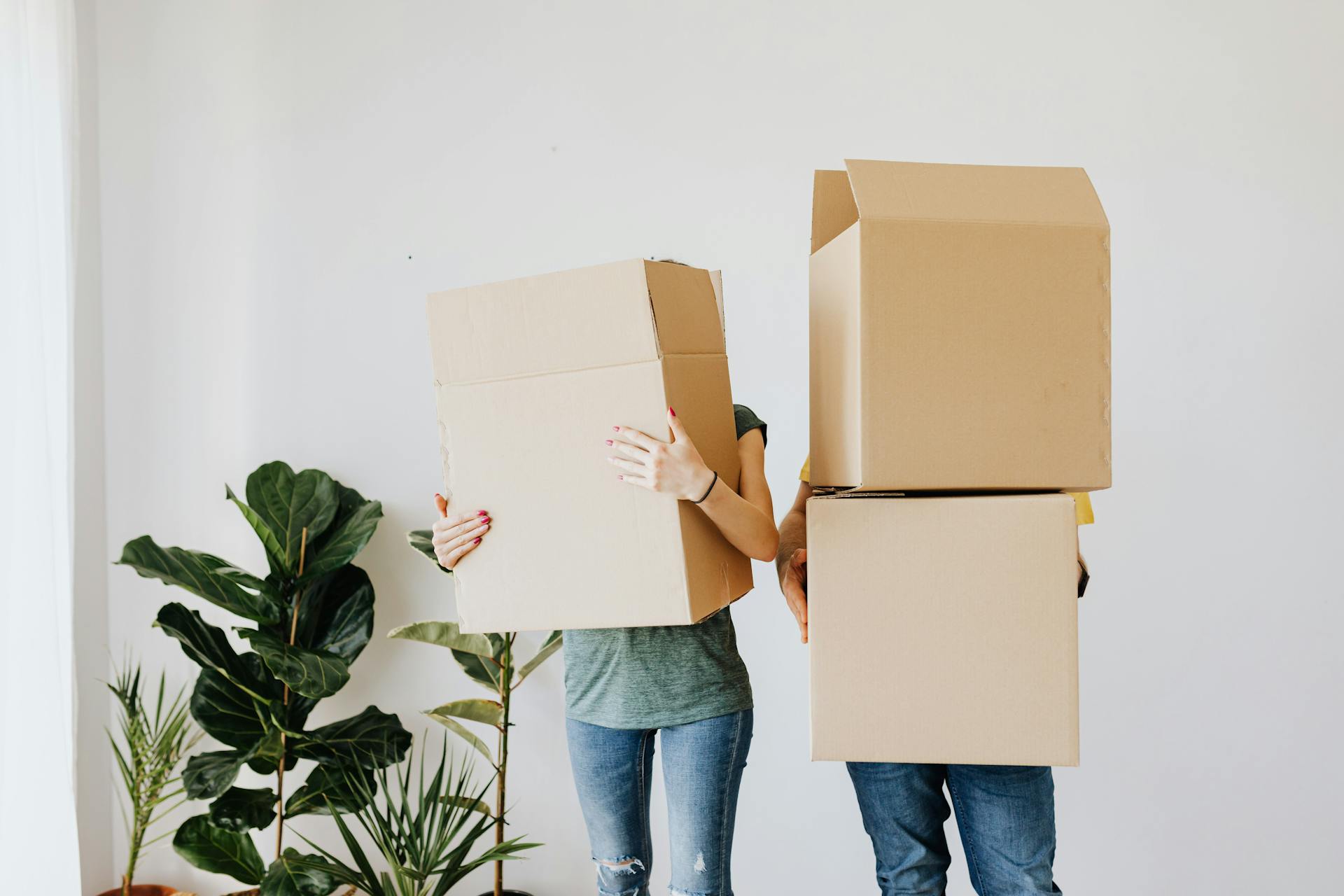 Two people holding moving boxes in front of a white wall with plants.